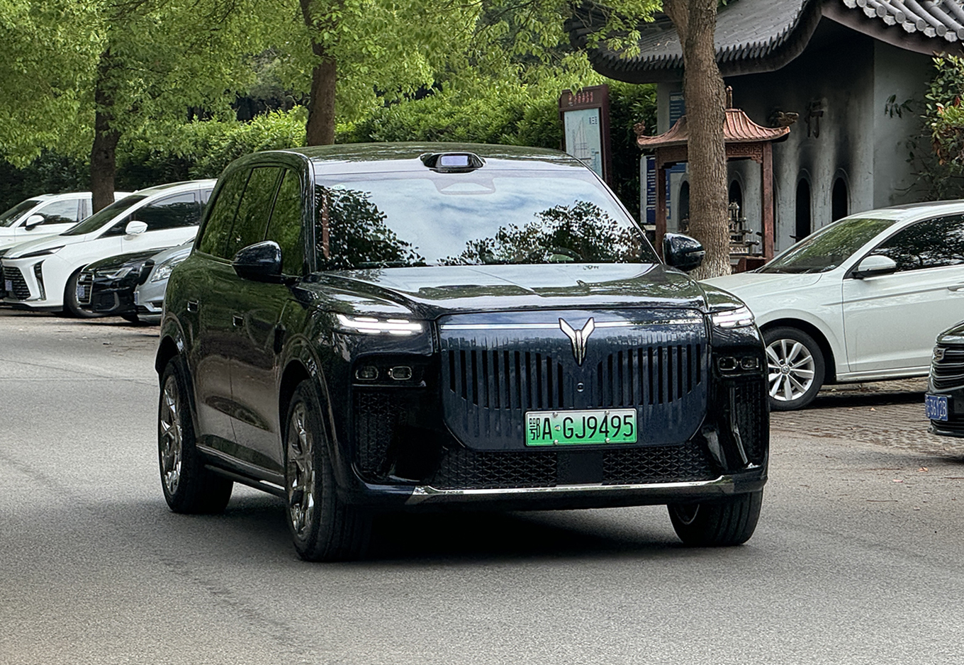 Voyah Taishan X8. Фото: Журнал Авито Авто/Михаил Толоков