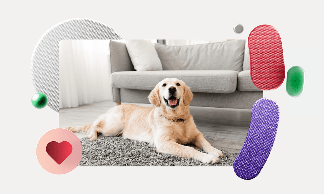 preview for "Гости с питомцами: как подготовить квартиру и заселить"